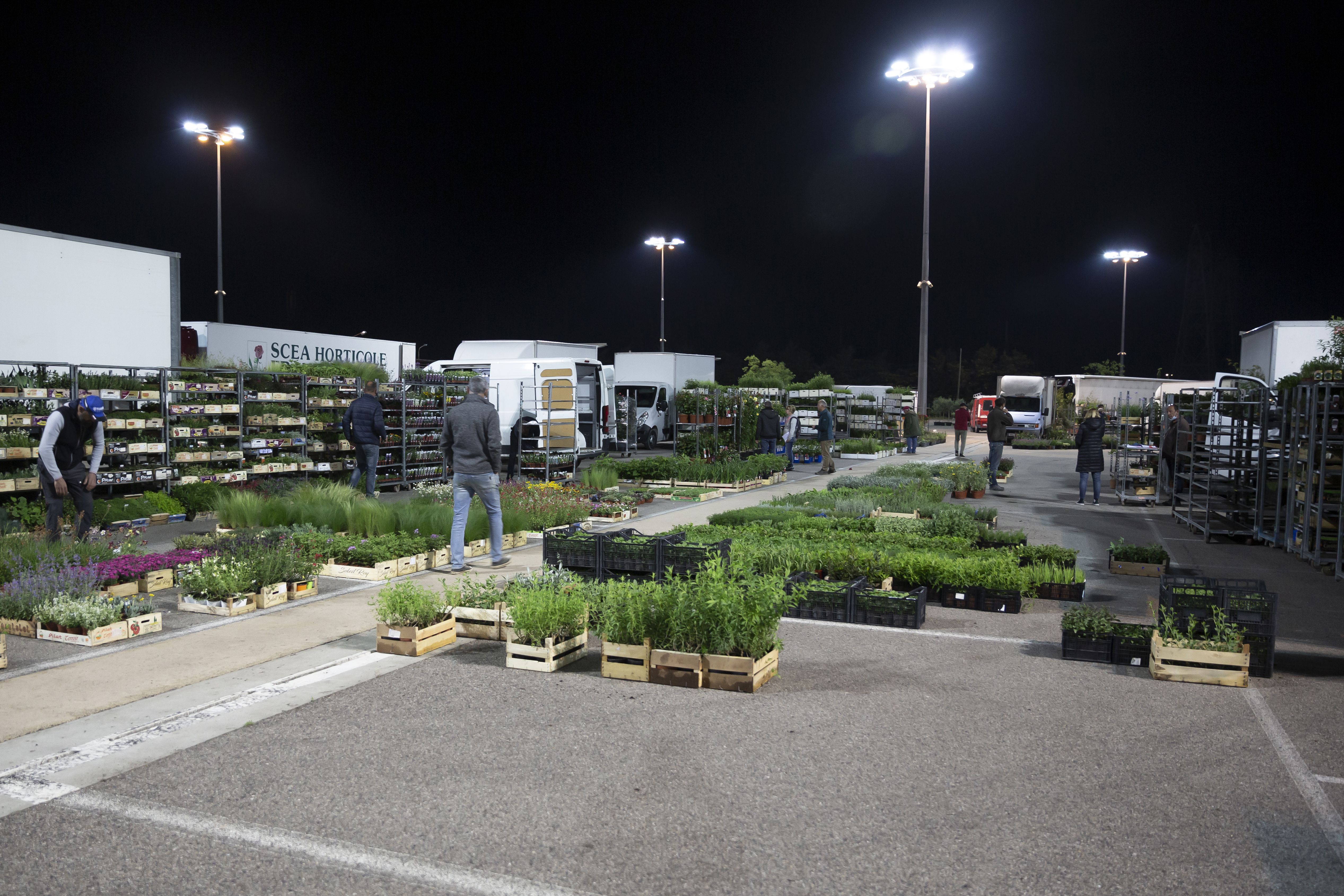 Marché Horticole La Provence Créative Carpentras